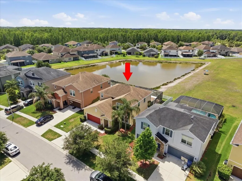 19132 Andrea Lynn Lane Land O Lakes FL 34638
