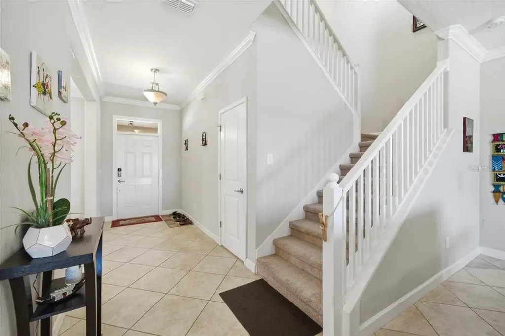 19132 Andrea Lynn Lane Land O Lakes FL 34638