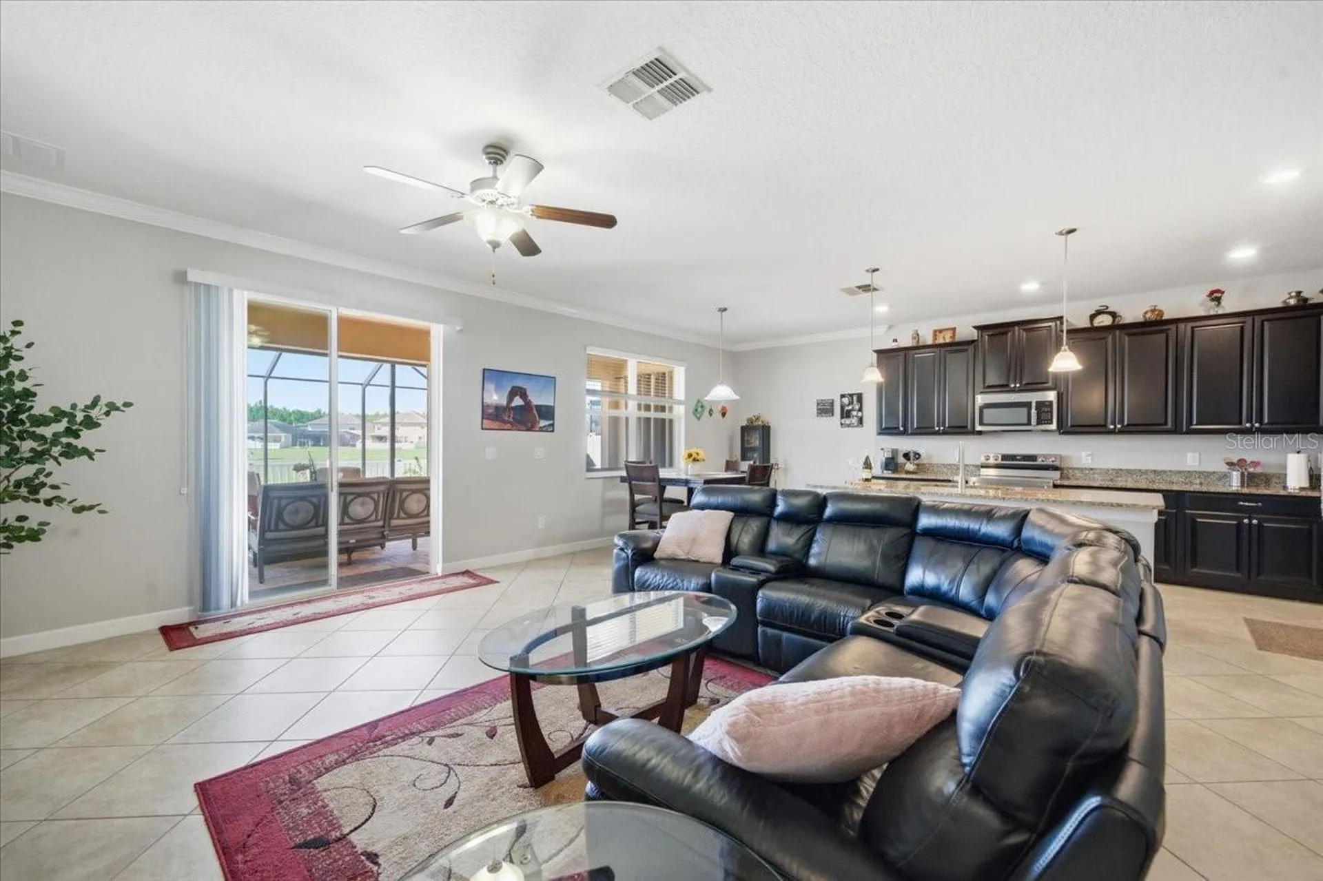 19132 Andrea Lynn Lane Land O Lakes FL 34638