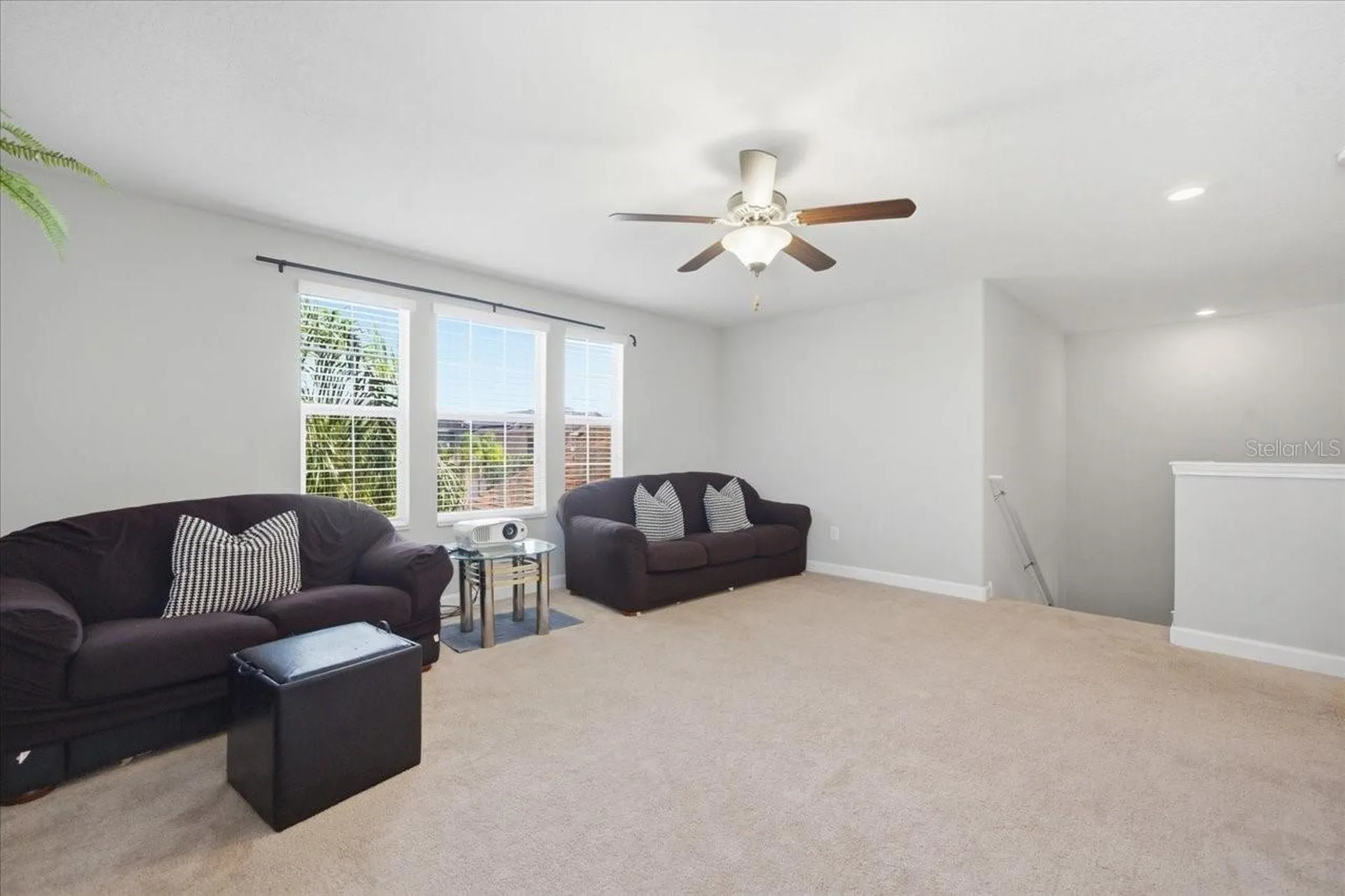 19132 Andrea Lynn Lane Land O Lakes FL 34638