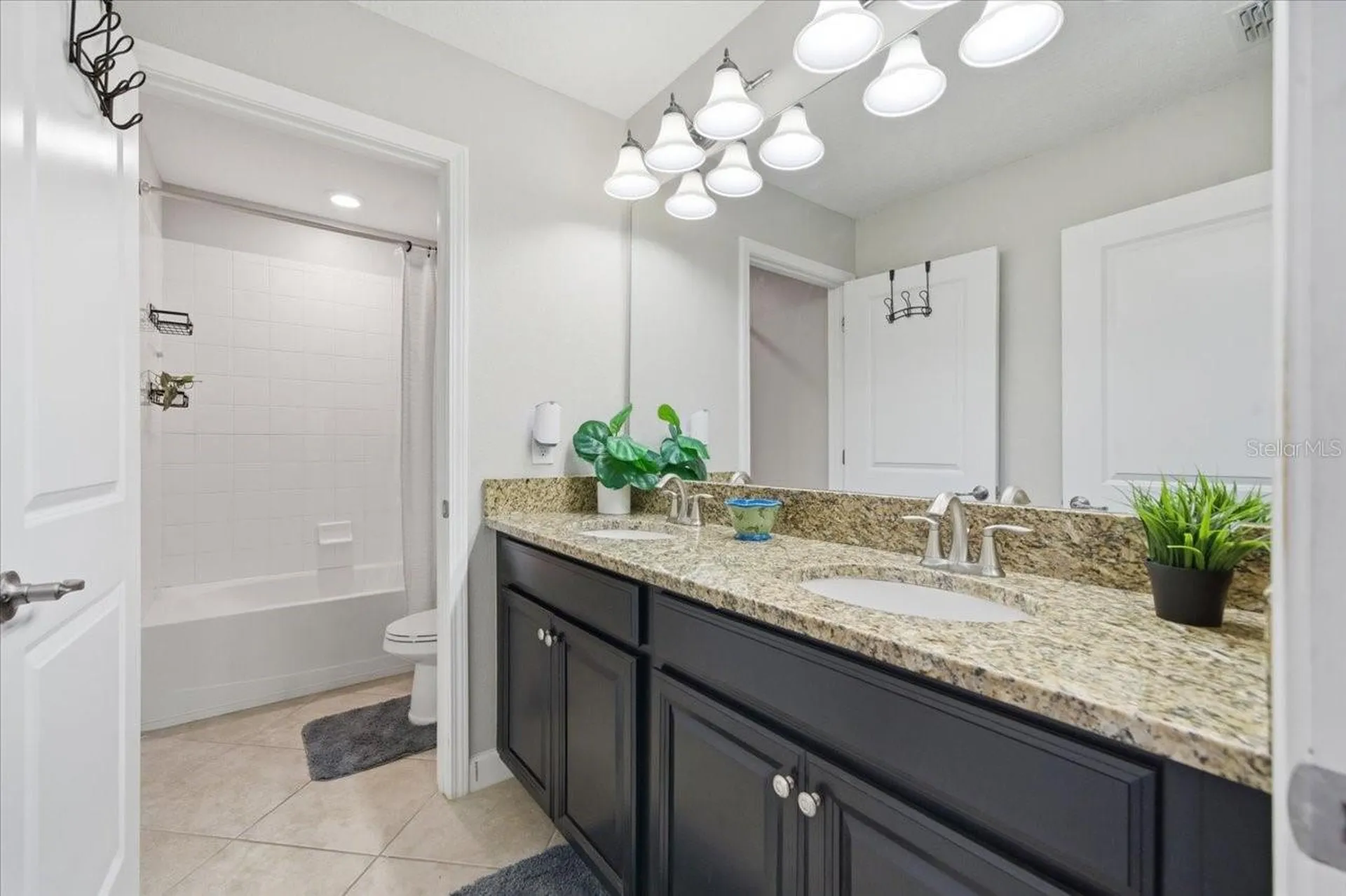 19132 Andrea Lynn Lane Land O Lakes FL 34638
