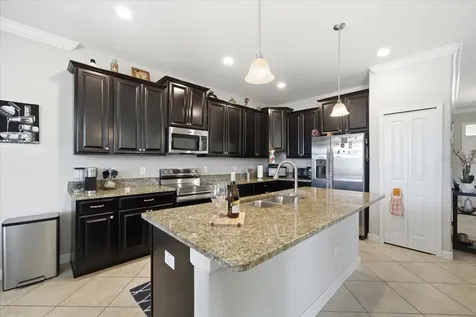 19132 Andrea Lynn Lane Land O Lakes FL 34638