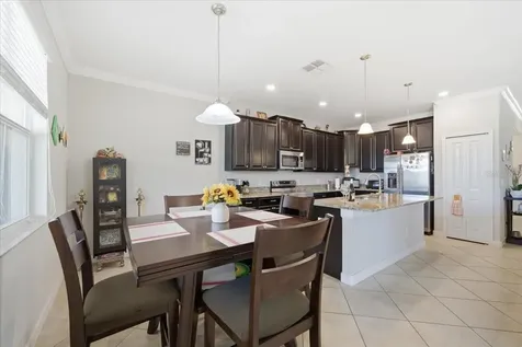 19132 Andrea Lynn Lane Land O Lakes FL 34638