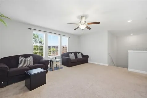 19132 Andrea Lynn Lane Land O Lakes FL 34638