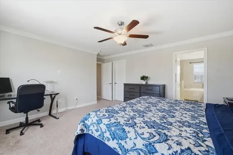 19132 Andrea Lynn Lane Land O Lakes FL 34638