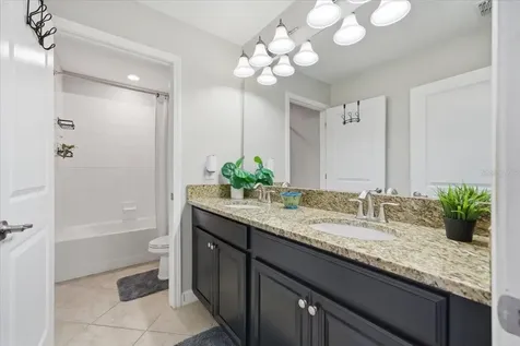 19132 Andrea Lynn Lane Land O Lakes FL 34638