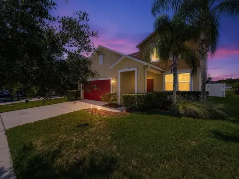 19132 Andrea Lynn Lane Land O Lakes FL 34638