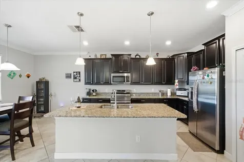 19132 Andrea Lynn Lane Land O Lakes FL 34638