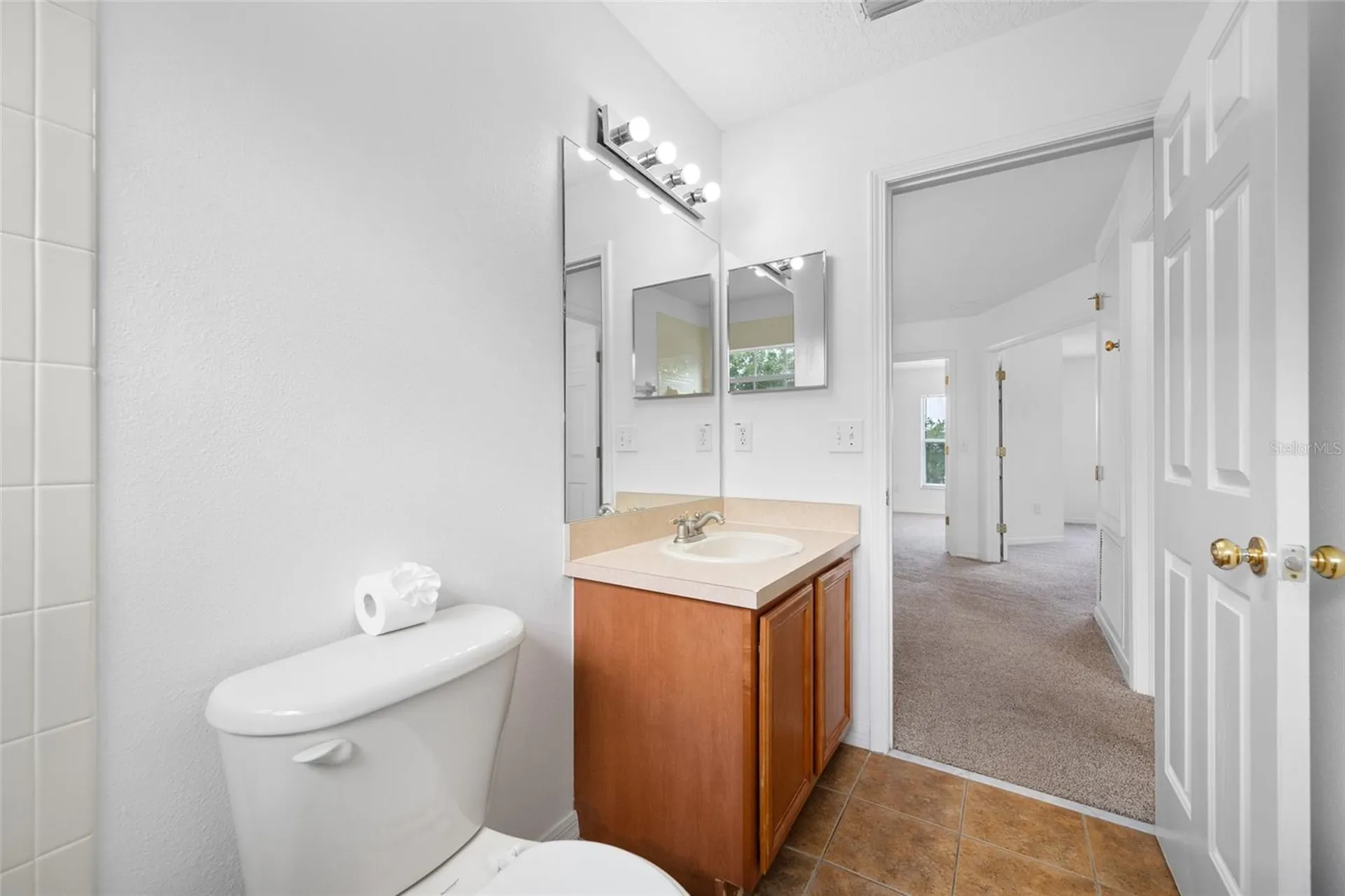 2227 Roanoke Springs Drive Ruskin FL 33570