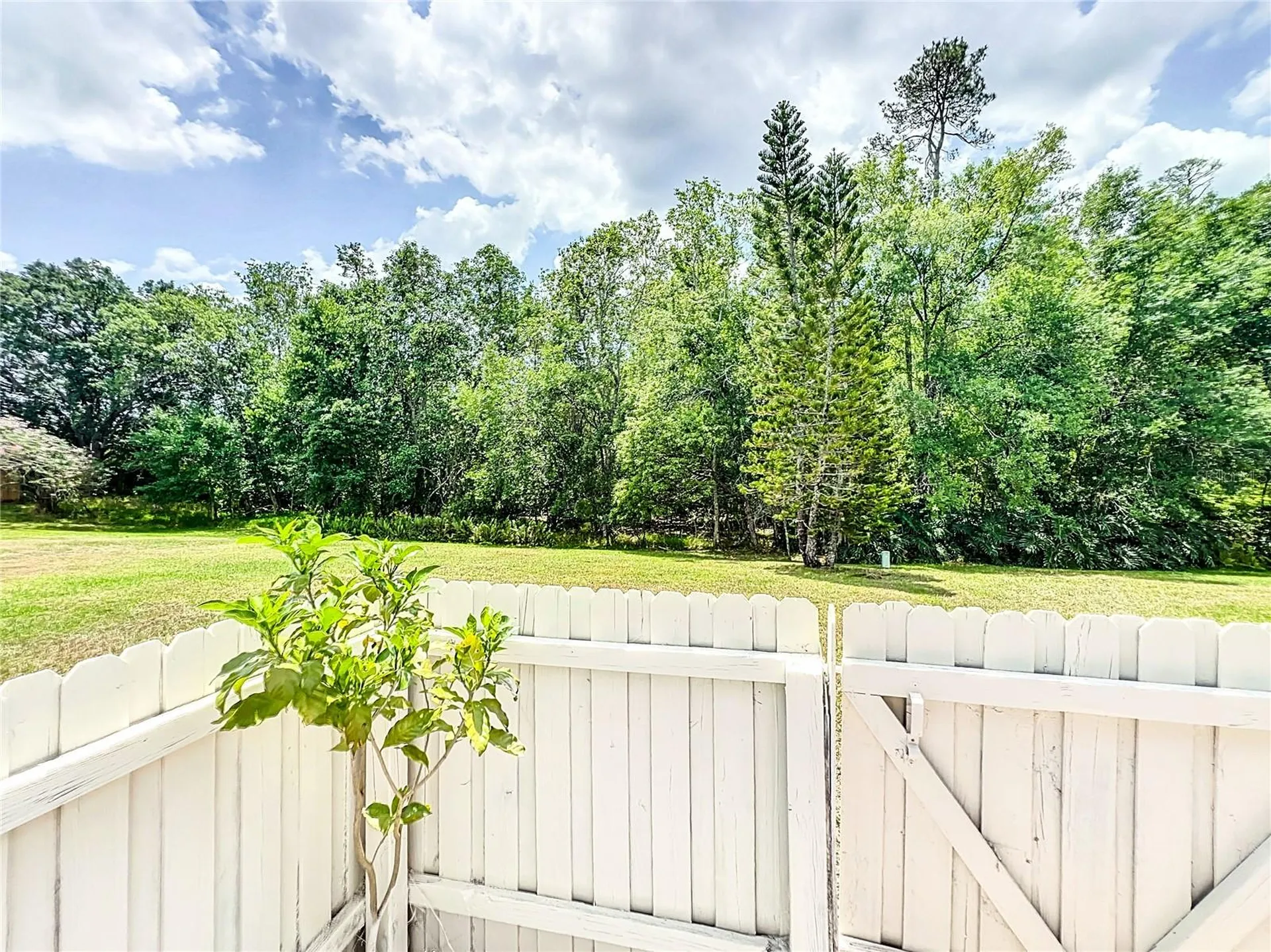 5716 Delano Lane Orlando FL 32821