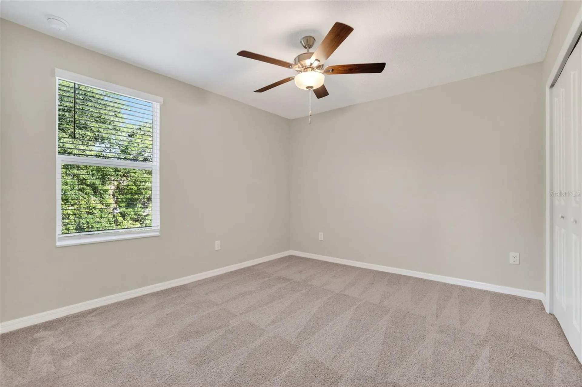 12621 Maple Bonsai Drive Riverview FL 33579