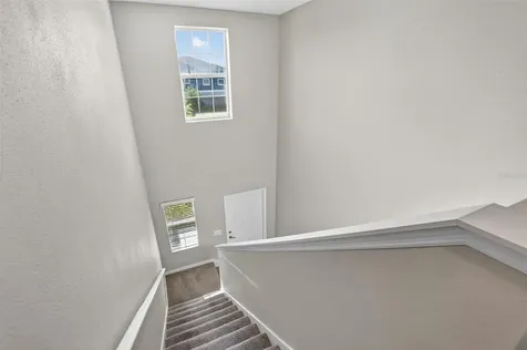 12621 Maple Bonsai Drive Riverview FL 33579