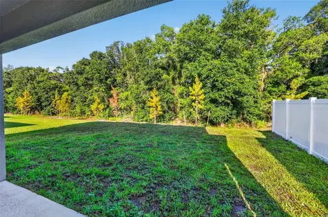 12621 Maple Bonsai Drive Riverview FL 33579