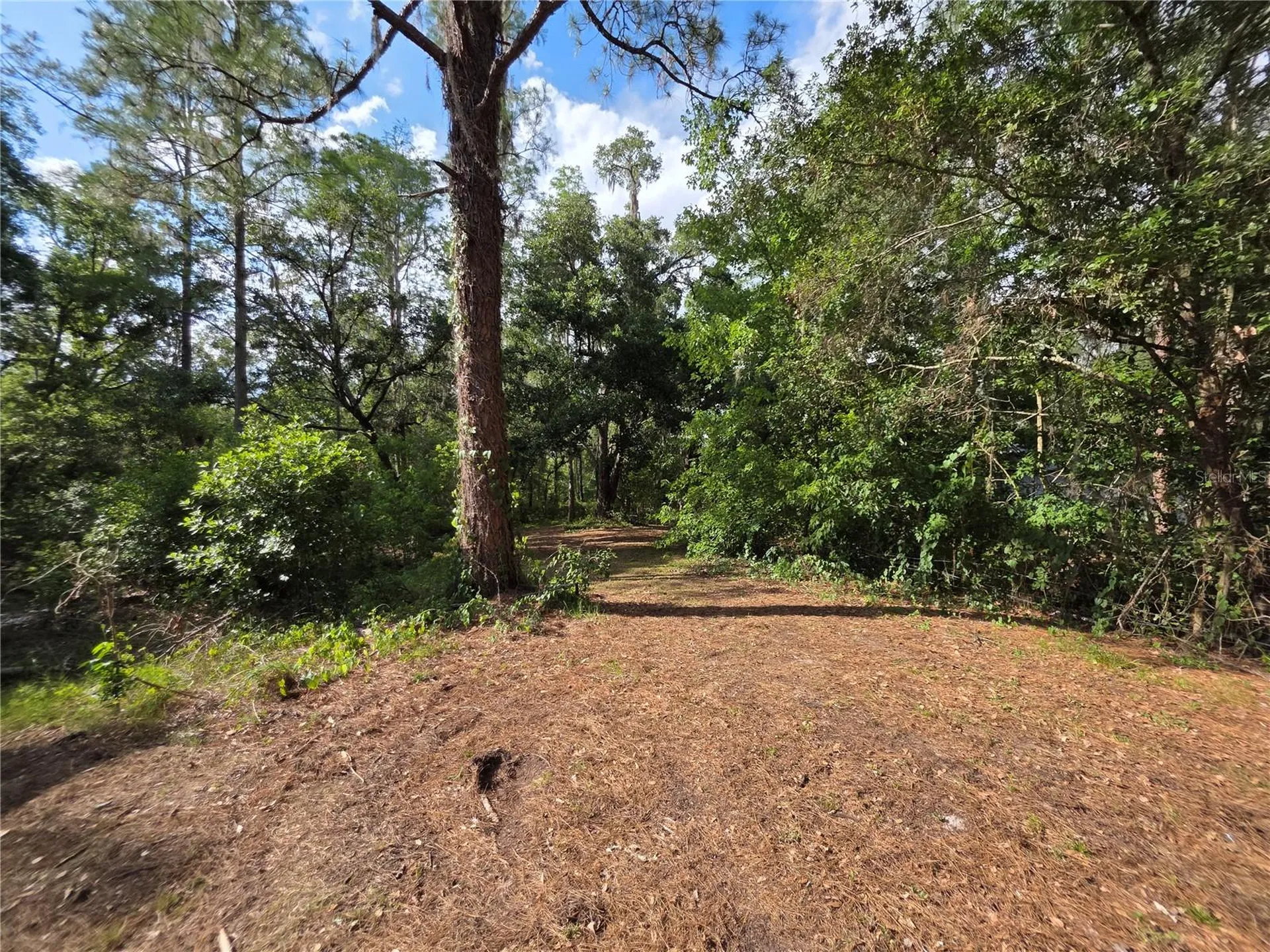 11344 Rockridge Road Lakeland FL 33809