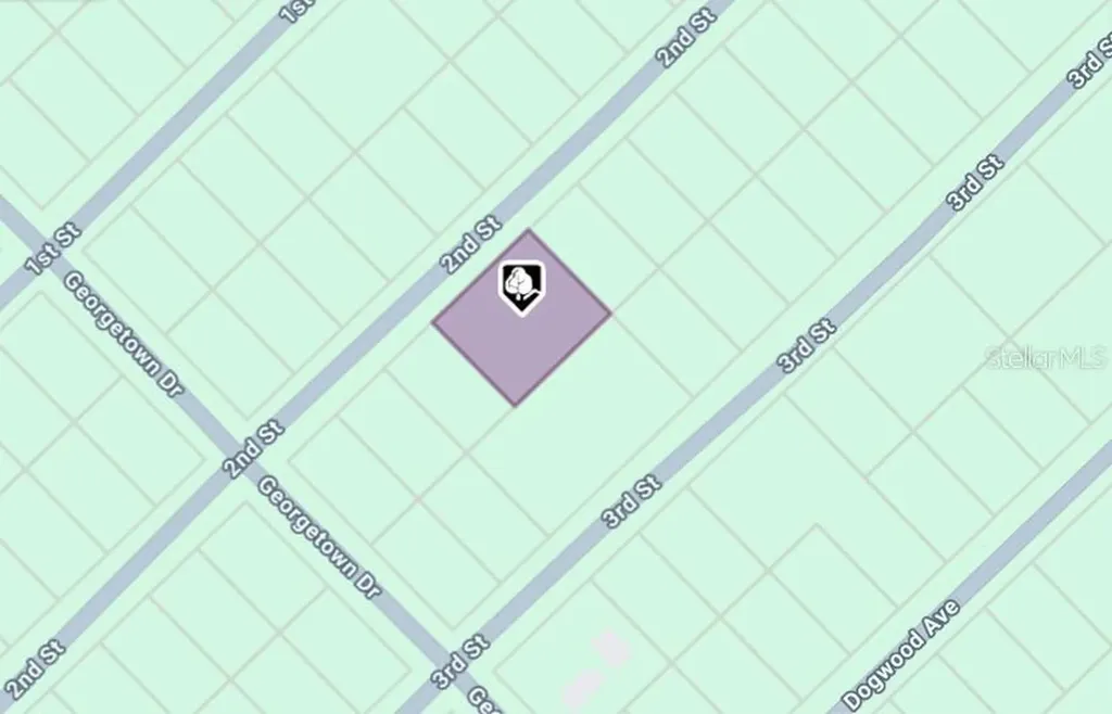 207 SE 2nd Street Georgetown FL 32139