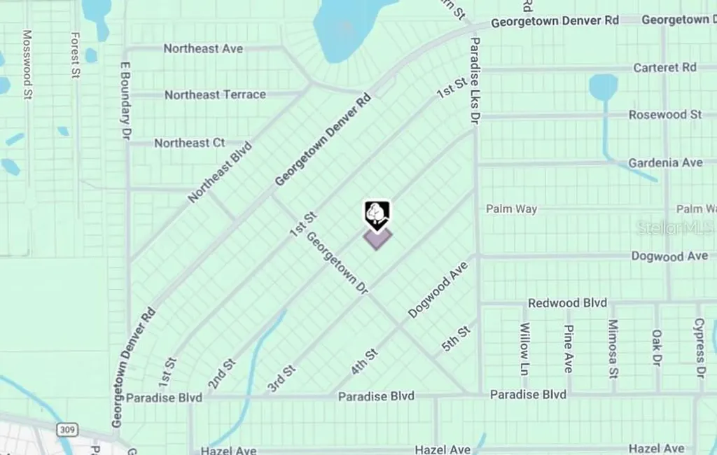 207 SE 2nd Street Georgetown FL 32139