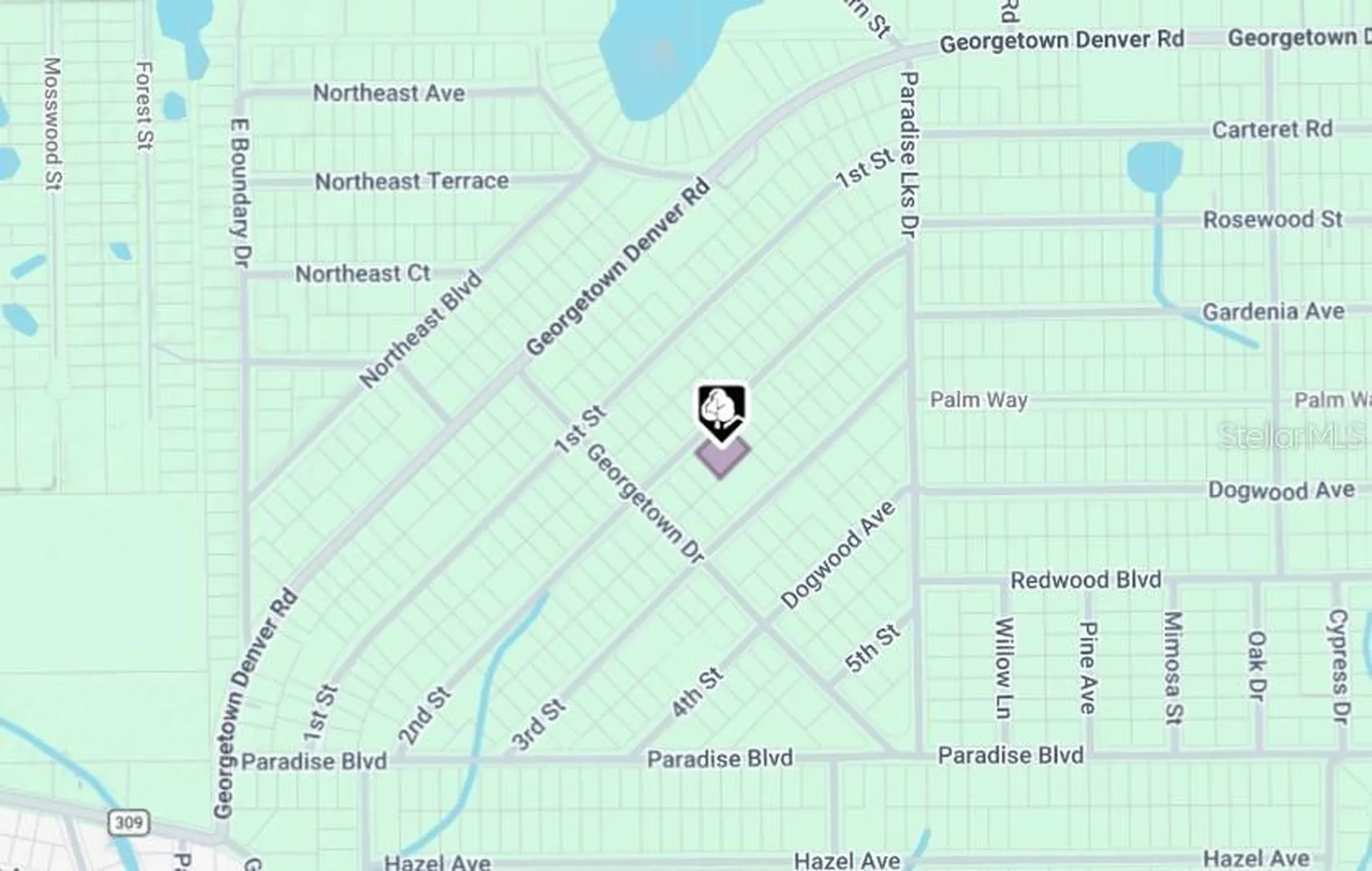 207 SE 2nd Street Georgetown FL 32139