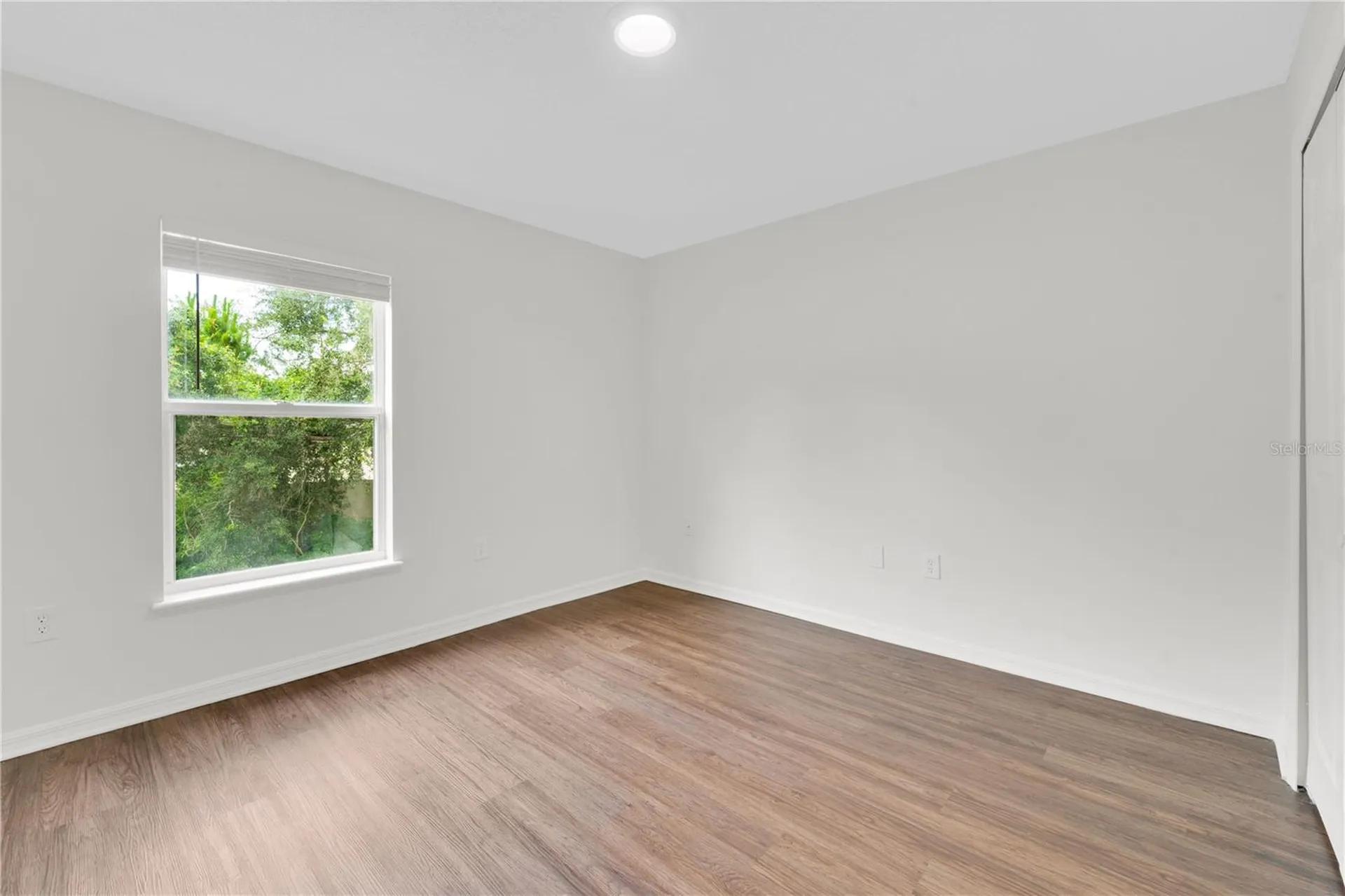 30131 Rattana Court Wesley Chapel FL 33545