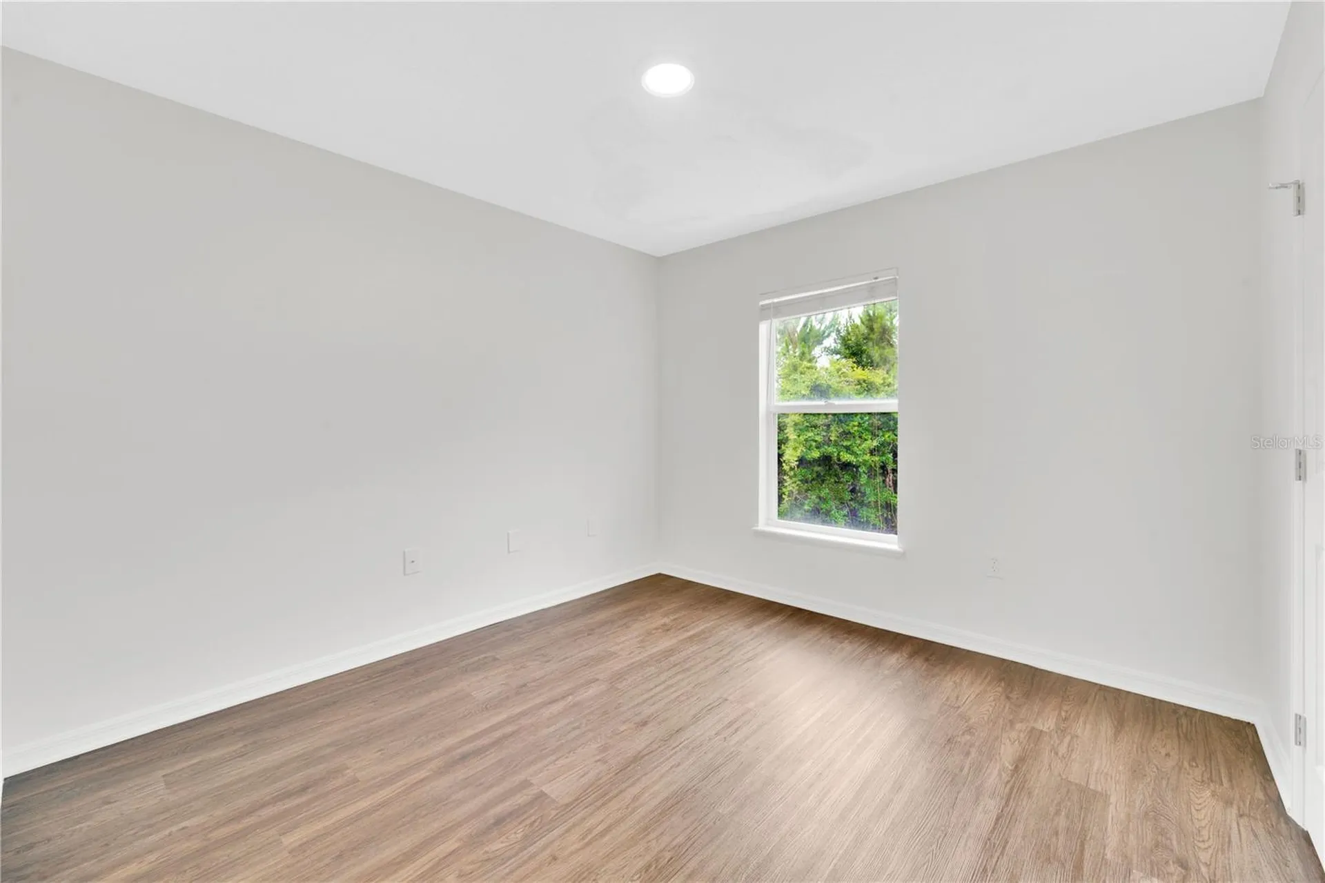 30131 Rattana Court Wesley Chapel FL 33545