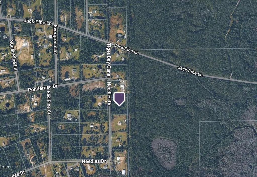 442 Needles Drive Ormond Beach FL 32174