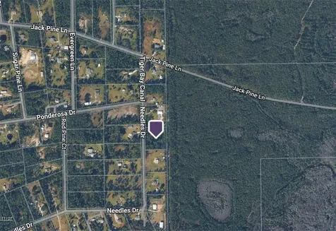 442 Needles Drive Ormond Beach FL 32174