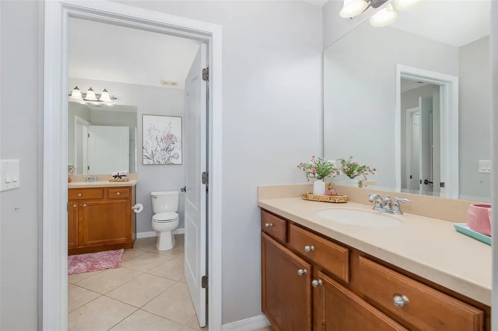 14810 Ninebark Court Land O Lakes FL 34638