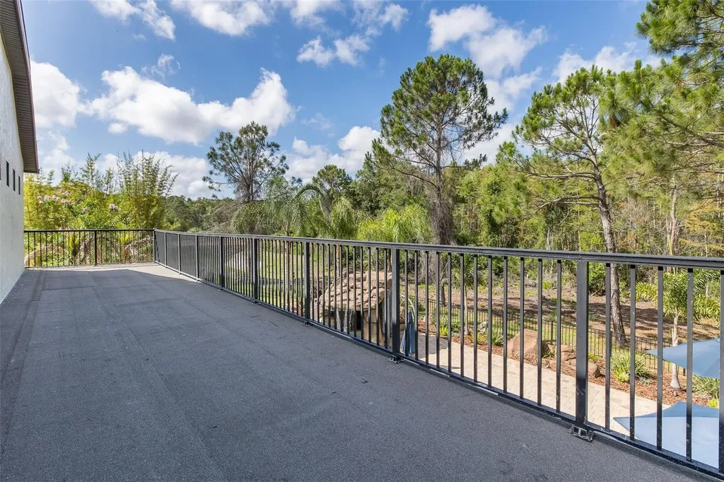 14810 Ninebark Court Land O Lakes FL 34638