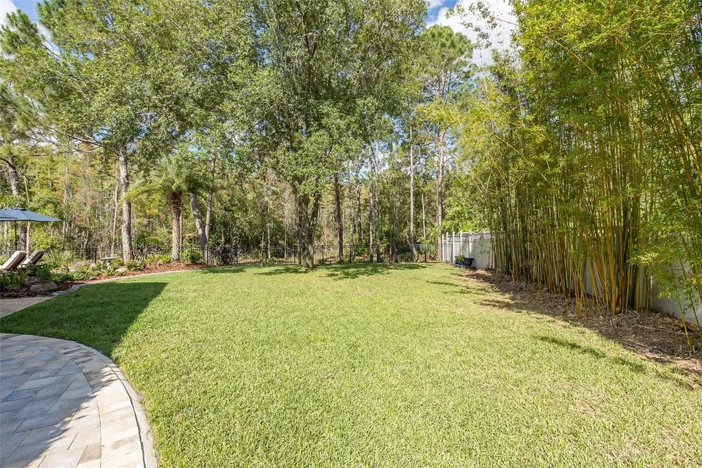 14810 Ninebark Court Land O Lakes FL 34638
