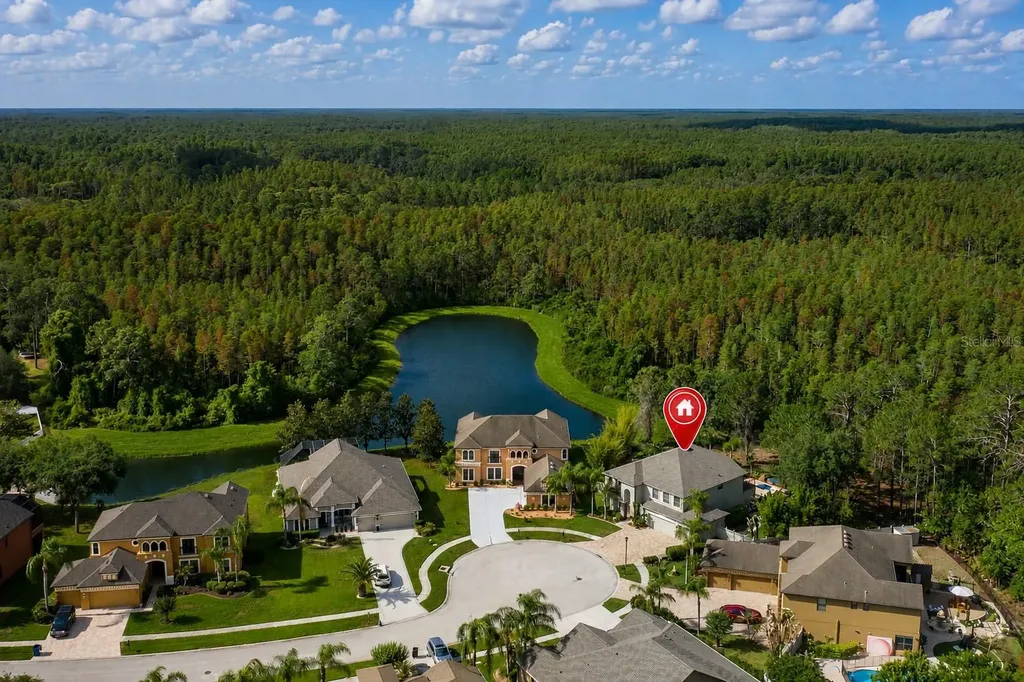 14810 Ninebark Court Land O Lakes FL 34638