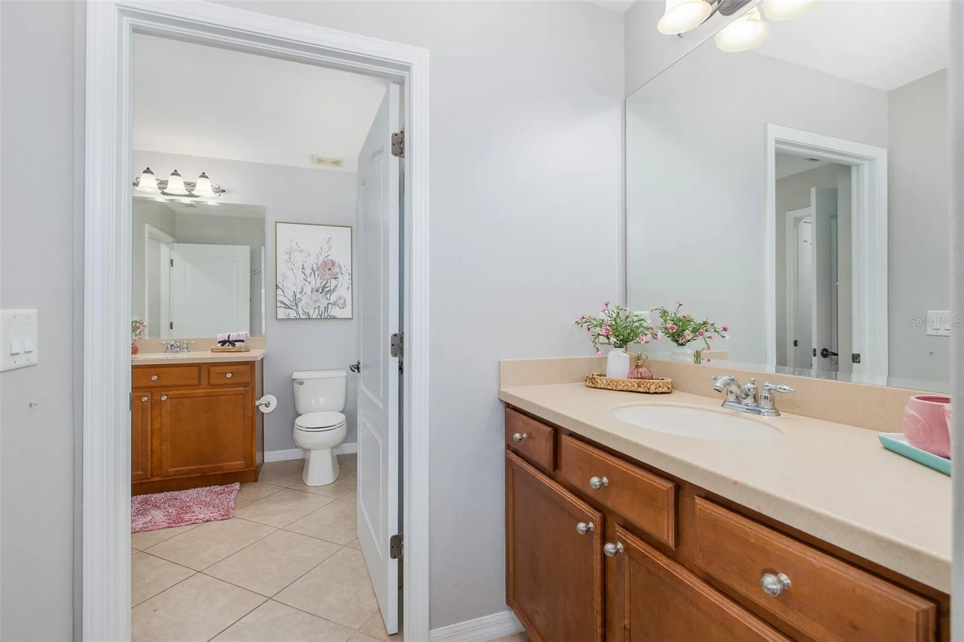 14810 Ninebark Court Land O Lakes FL 34638