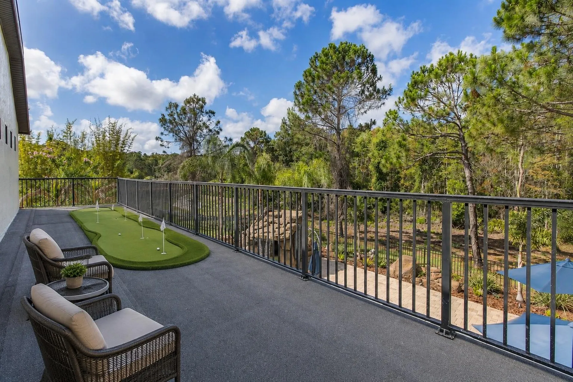 14810 Ninebark Court Land O Lakes FL 34638