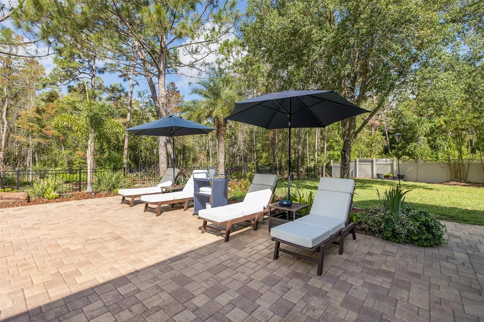 14810 Ninebark Court Land O Lakes FL 34638