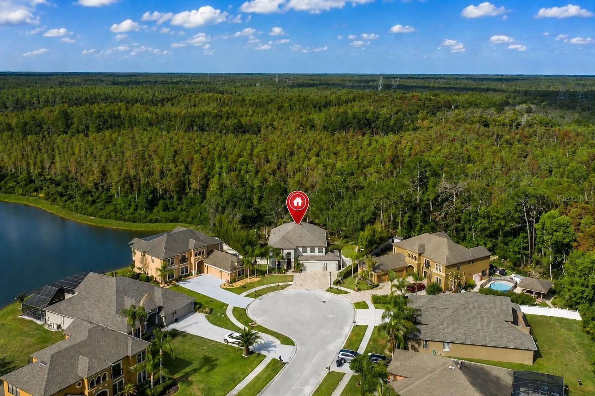 14810 Ninebark Court Land O Lakes FL 34638