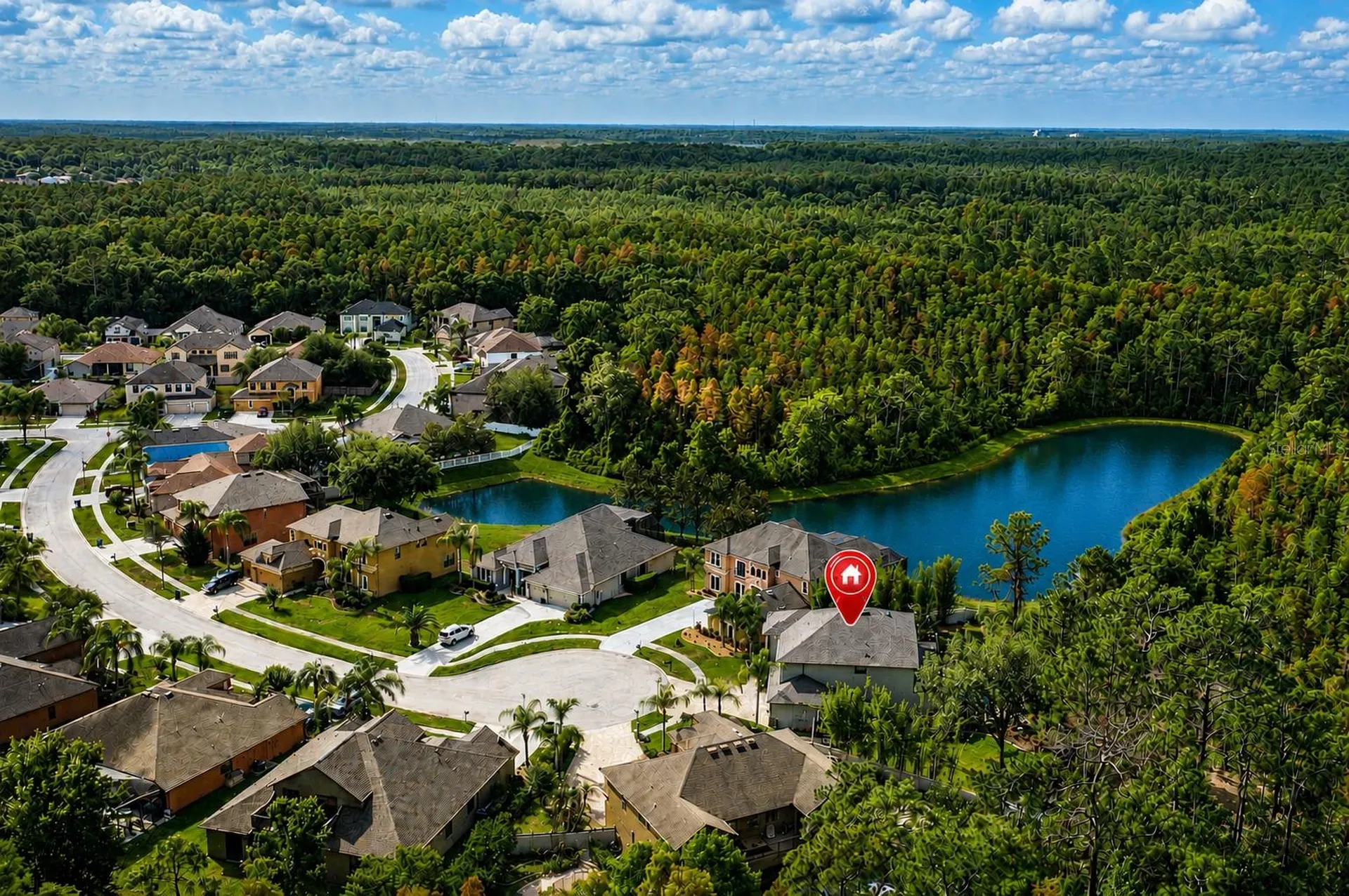 14810 Ninebark Court Land O Lakes FL 34638