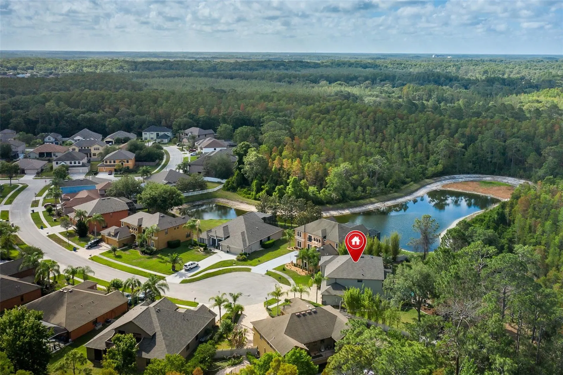 14810 Ninebark Court Land O Lakes FL 34638