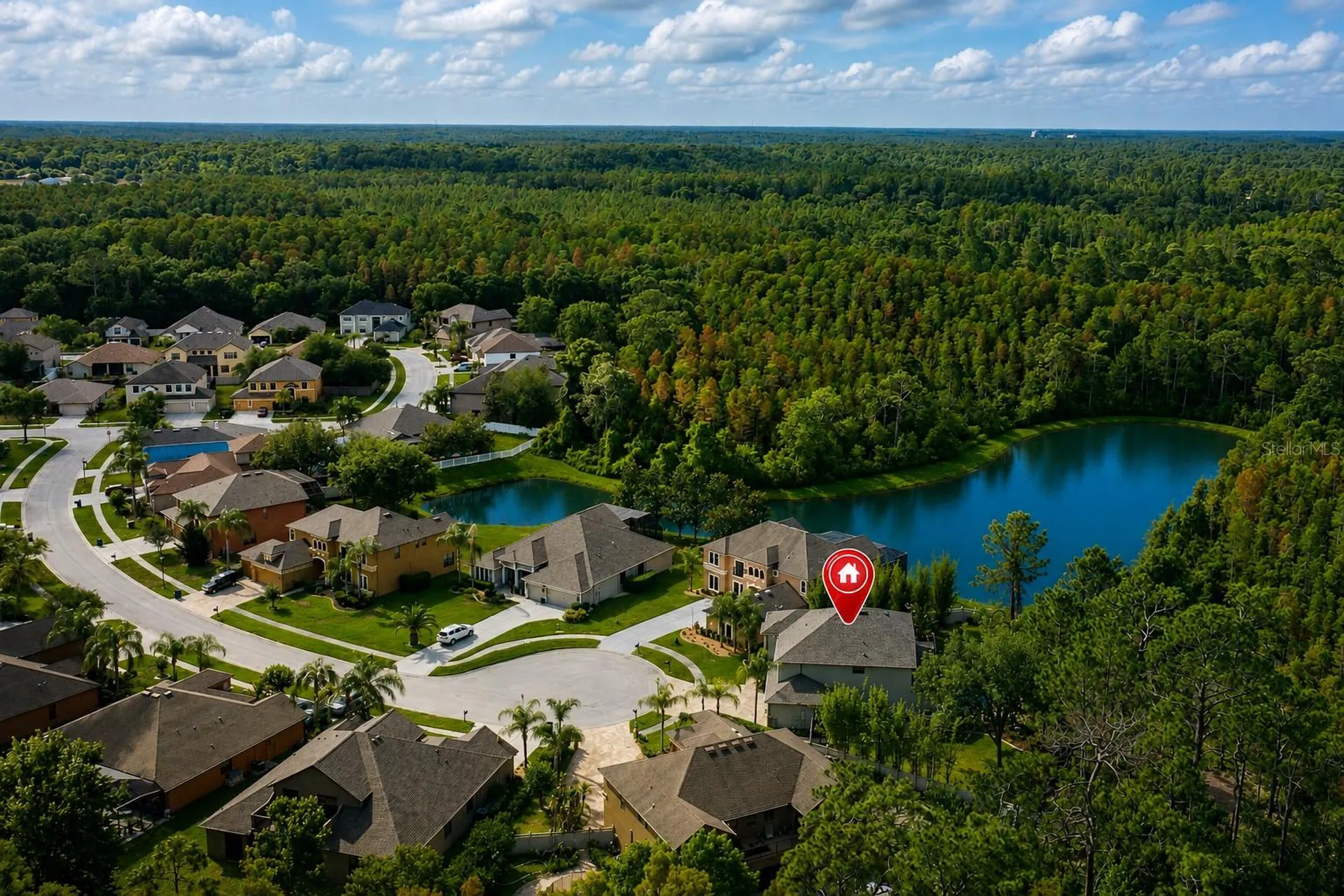 14810 Ninebark Court Land O Lakes FL 34638