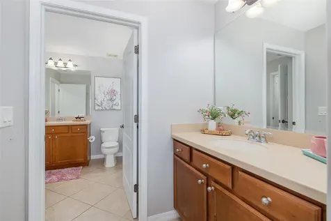 14810 Ninebark Court Land O Lakes FL 34638
