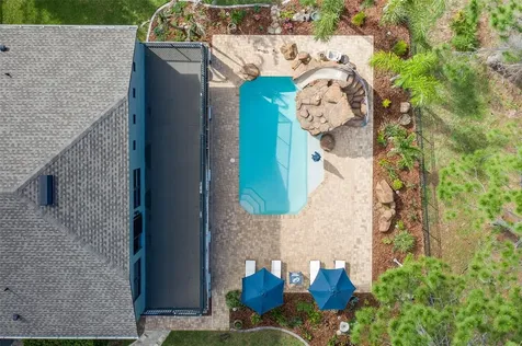 14810 Ninebark Court Land O Lakes FL 34638