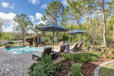 14810 Ninebark Court Land O Lakes FL 34638
