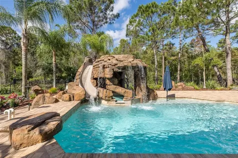 14810 Ninebark Court Land O Lakes FL 34638