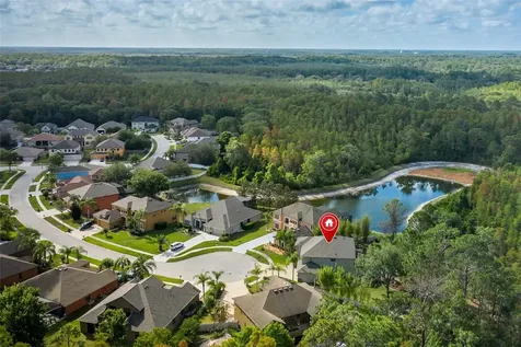 14810 Ninebark Court Land O Lakes FL 34638