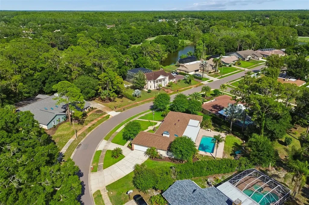 2245 Toniwood Lane Palm Harbor FL 34685