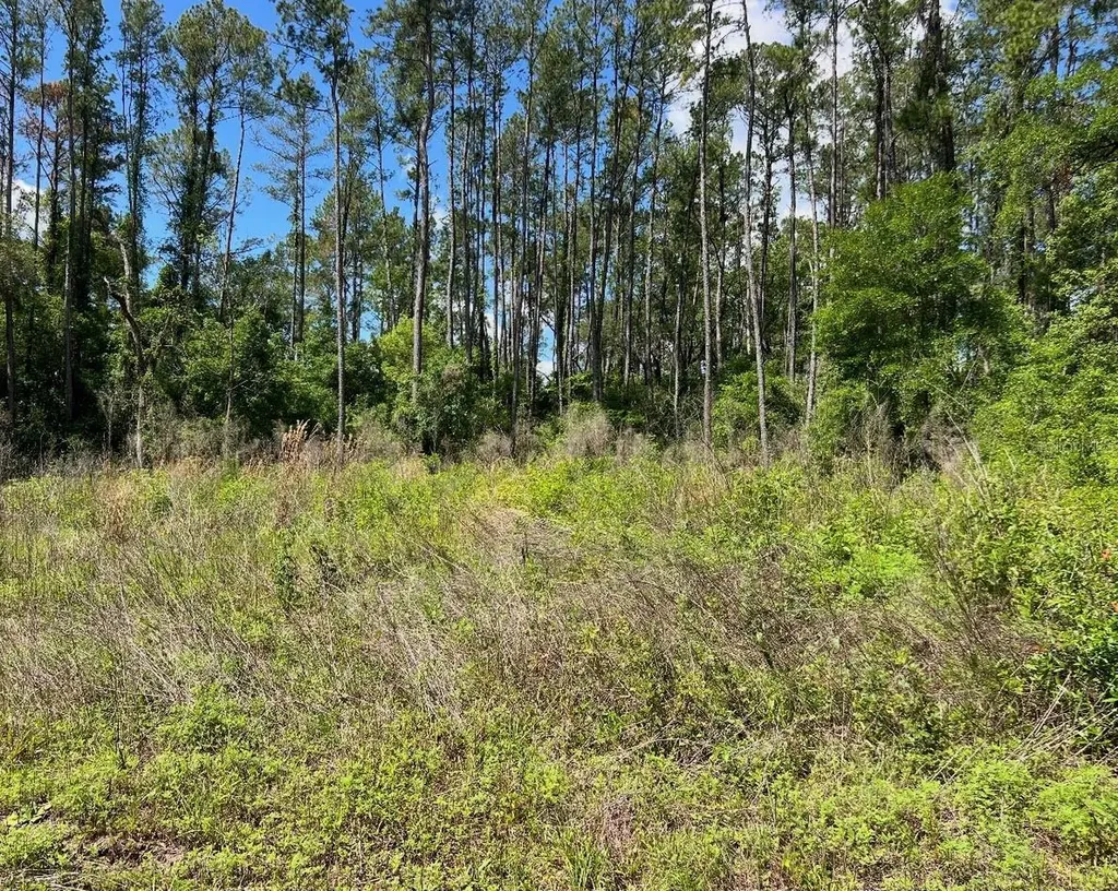 9976 N Athenia Drive Citrus Springs FL 34434