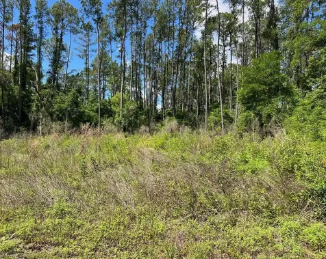 9976 N Athenia Drive Citrus Springs FL 34434