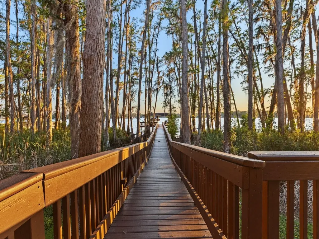 21019 Marsh Hawk Drive Land O Lakes FL 34638