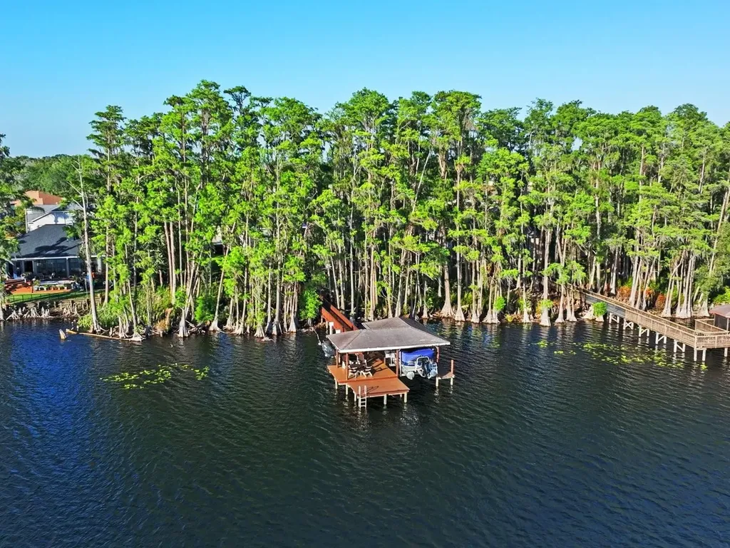 21019 Marsh Hawk Drive Land O Lakes FL 34638