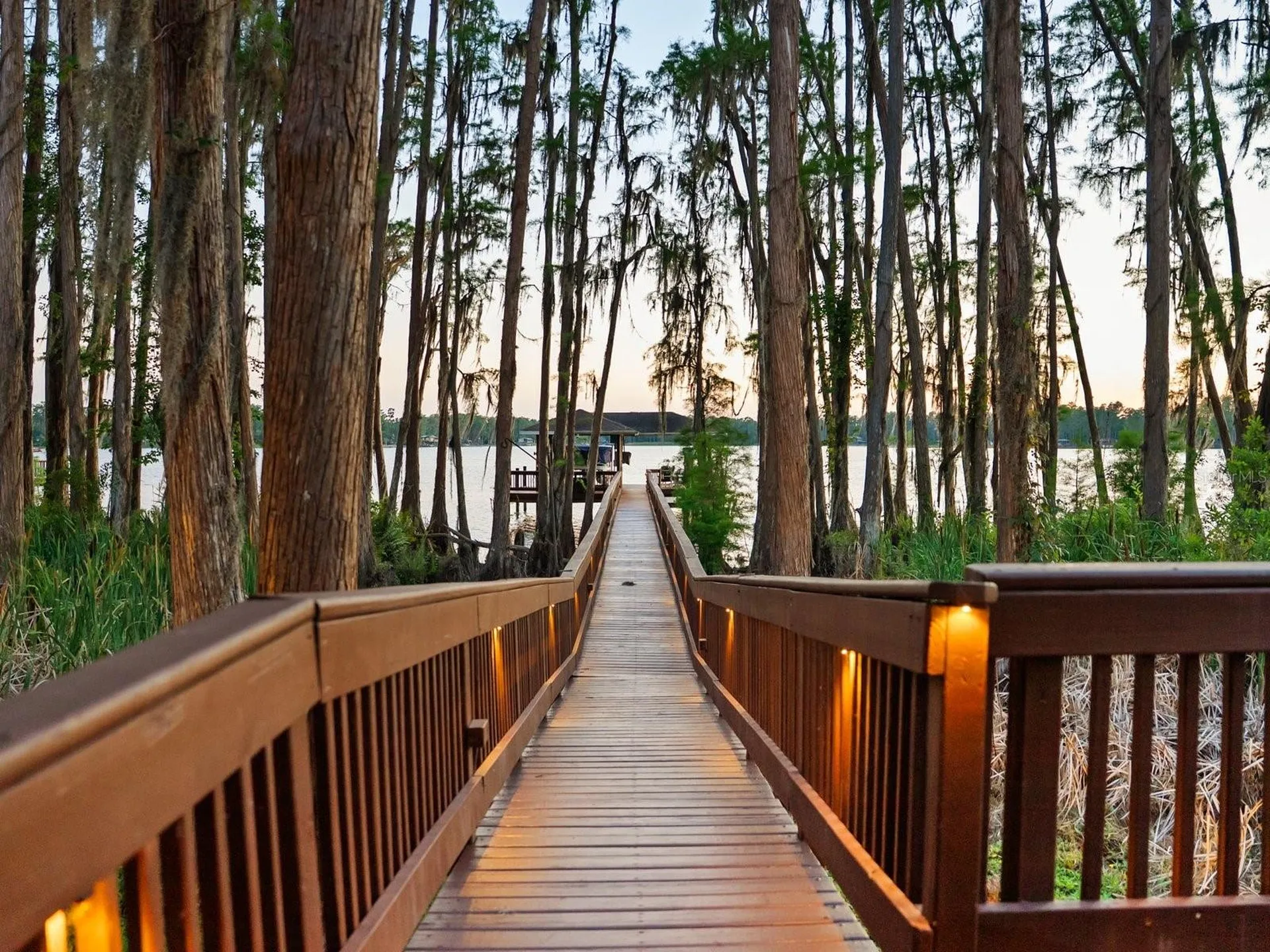 21019 Marsh Hawk Drive Land O Lakes FL 34638