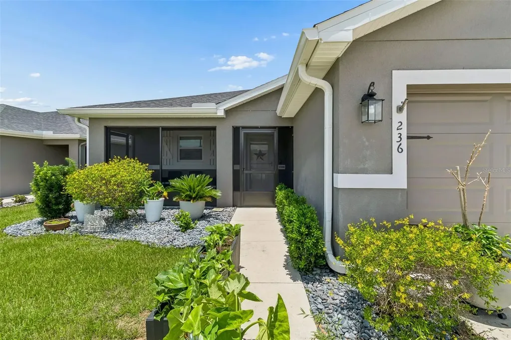 236 Foxtail Loop Davenport FL 33837