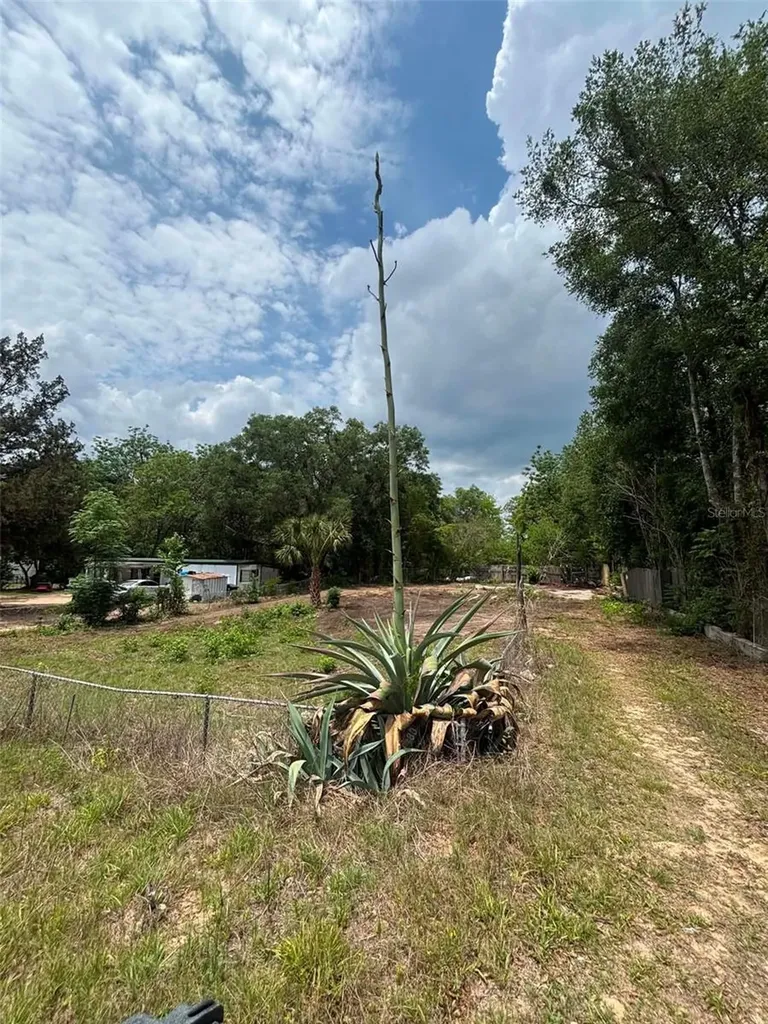 7480 Lakeview Street Keystone Heights FL 32656