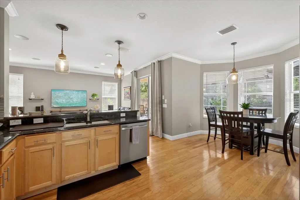 11115 Avery Oaks Drive Tampa FL 33625